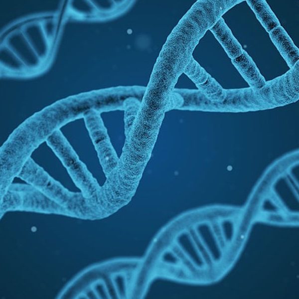 blue-dna-1200 blue-dna-1200