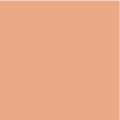 APPLE-PIE 255B